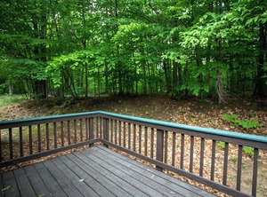 Log Beaver Creek Resort Bagley Township | Gaylord