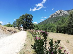 Capellania | Arroyo Frio