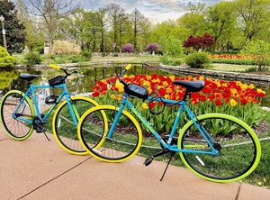 Grove | Tower Grove East