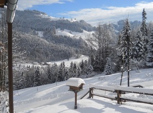 Chalet Ski | Niederndorferberg