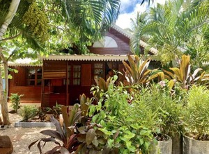 Albion The Beach Enclosed Garden | Albion