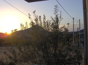 The Athens | Charakas