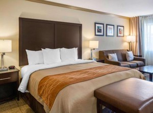 Comfort Inn Castro Valley | Castro Valley