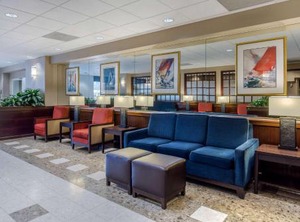 Comfort Inn Conference Bowie | Bowie
