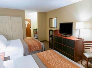 Comfort Inn Country | New Holland