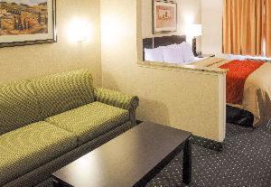 Comfort Inn Suites Alameda At Balloon Fiesta Park | Northeast Heights