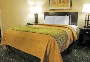 Comfort Inn Suites Alameda At Balloon Fiesta Park | Northeast Heights