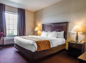 Comfort Inn | Morrisonville