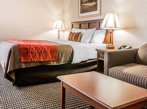 Comfort Inn Utica | Utica