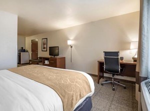 Comfort At Par Resort | King