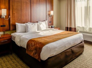 Comfort Keeneland | Georgetown