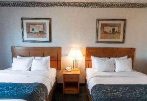 Comfort Suites University Las Cruces | Mesilla Park
