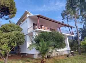 The Beach | Kiparissia