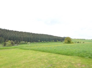 Garden Surroundings | Tettscheid