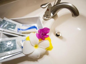 Connie Comfort | St. John's