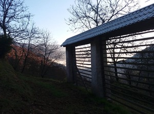 Potokar | Zelezniki