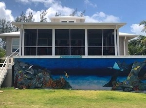 Cotton Coconuts Ocean | Rainbow Bay