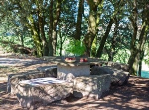 Vrbo Property | Taradell
