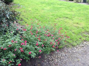 Persons | Segrie-Fontaine