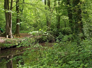 Cozy Lodge Dishwasher Holiday Park The Achterhoek | Winterswijk - Brinkheurne