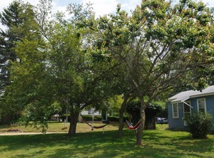 Roosevelt Cottage Coloma | Lake Michigan Beach