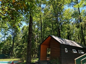 Departamento Pucón Camino Al Volcán | Pucon