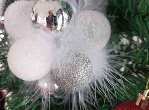 Diamond Divcibare | Divcibare