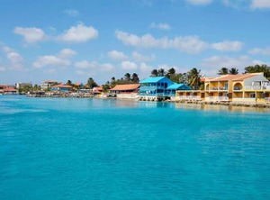 Divi Flamingo Beach Resort | Playa