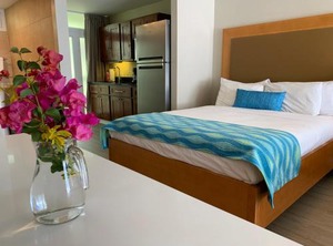 Divi Flamingo Beach Resort | Playa