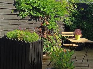 Dragondrum Breakfast | Ullerslev