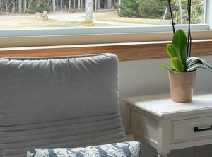 This Cottage | Bass Harbor
