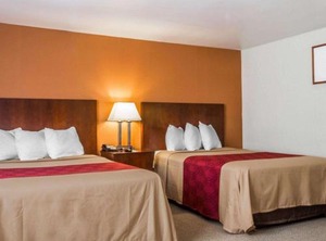 Econo Lodge Region | West Ossipee