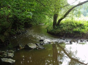 Eifel Cottage | Meiserich