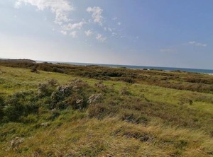 Holiday Musvågevej | Aalbaek