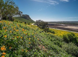Fork West | Elands Bay