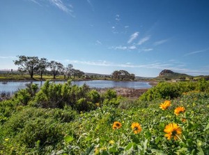 Fork West | Elands Bay
