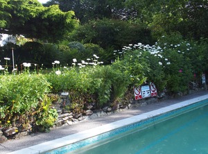 Fowey Gardens Historic Mansion | Lanreath