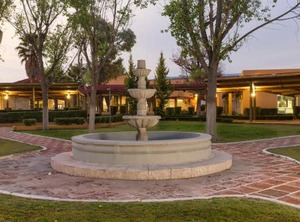 Gamma Pachuca | Pachuca