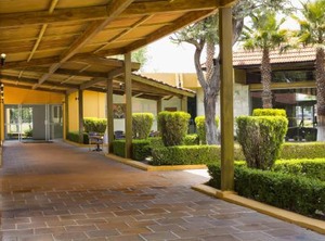 Gamma Pachuca | Pachuca