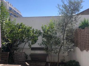 Garden | Alfama