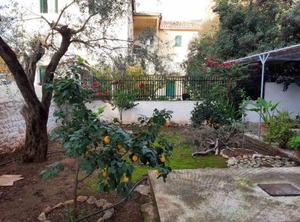Garden | Leonidio