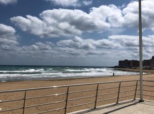 Geraneos | Torrevieja