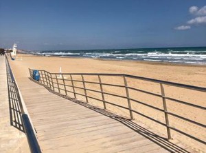Geraneos | Torrevieja