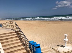 Geraneos | Torrevieja