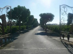 Gite The Heart Of Hectares Vineyard | Saint-Laurent-de-la-Salanque