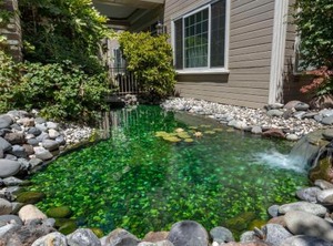 Hampton Inn Ukiah | Ukiah