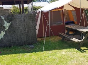 Apple Backpackers | Motueka