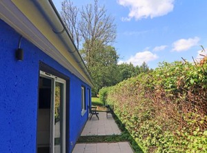 Seepferdchen Lohmen | Garden