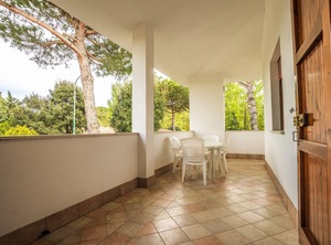 Pino | Lido di Volano