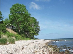 Holiday Græskobbel | Asserballeskov